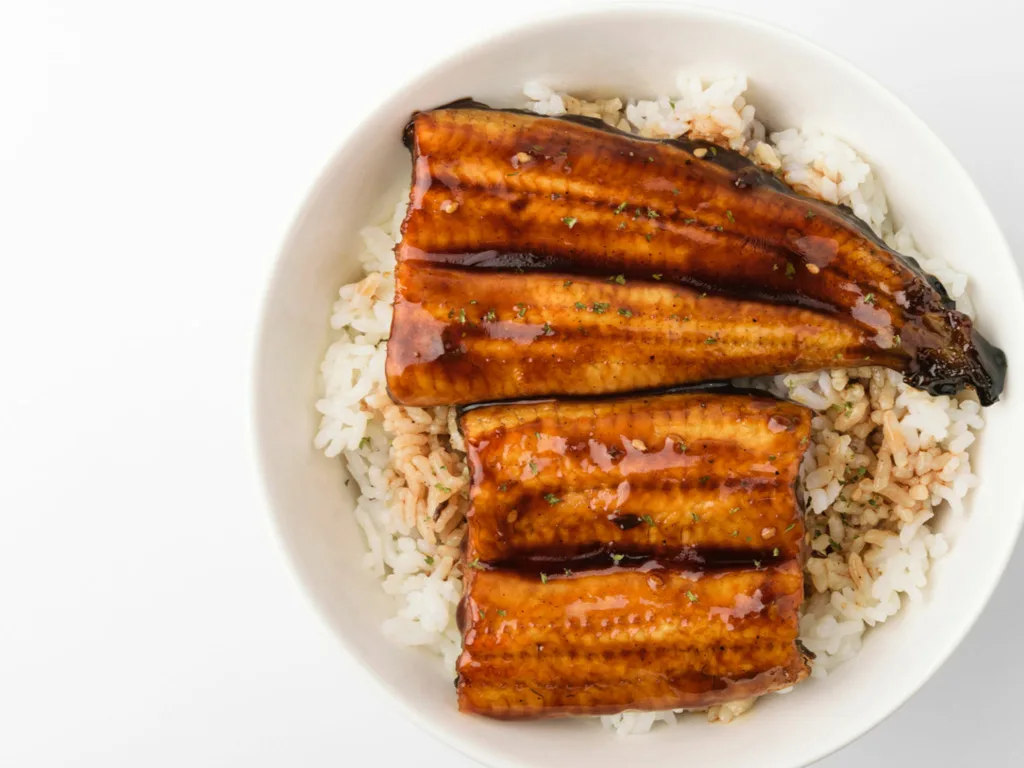 Unagi Don (Grilled Eel Rice)